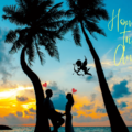 Honeymoon Trip To Andaman